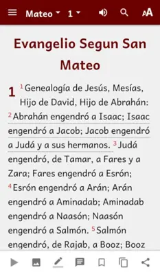 Español Biblia (Spanish Bible) android App screenshot 0