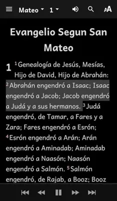 Español Biblia (Spanish Bible) android App screenshot 1