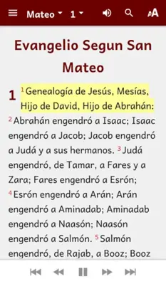 Español Biblia (Spanish Bible) android App screenshot 3